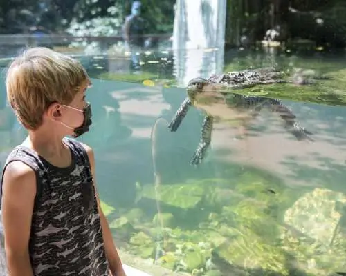 Bronx Zoo