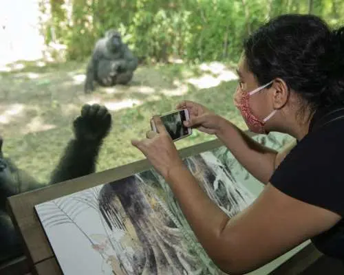 Bronx Zoo