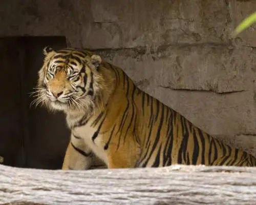 Barcelona Zoo