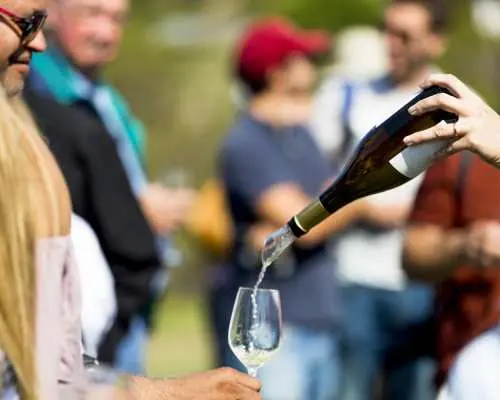 Deluxe Napa & Sonoma Valley Wine Country Day Tour | San Francisco