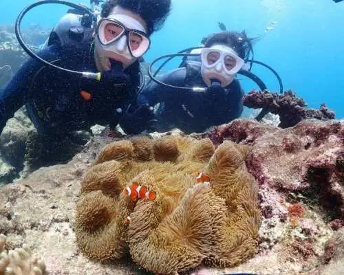 【北谷発】空と海を1日で制覇！美ら海を空中散歩＆海底探検！贅沢すぎるブルー・パラダイスツアー（パラセーリング×体験ダイビング）写真無料