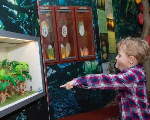Chocolate Museum – Choco-Story Paris