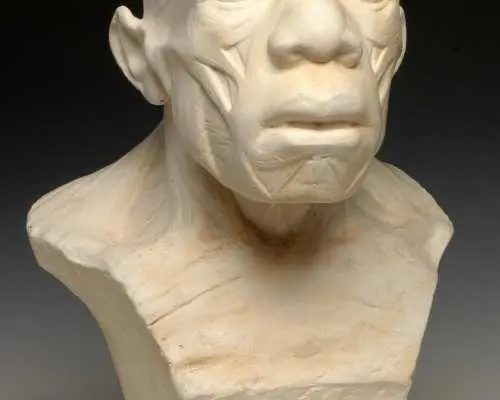 Musée de l'Homme
