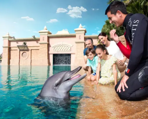 Atlantis Aquaventure World Dubai - Dolphin and Sea Lion Experiences at Atlas Village