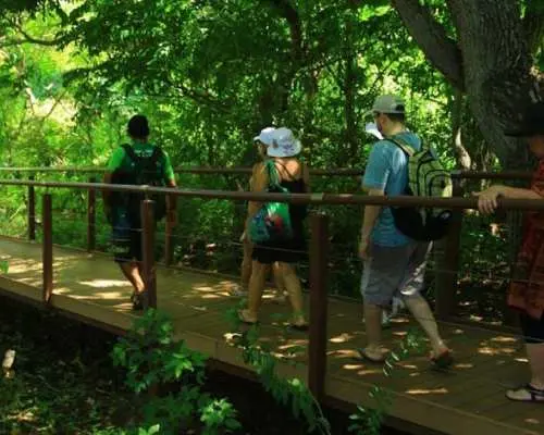 4x4 off-road island discovery full-day tour