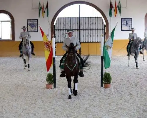 El Ranchito and Andalusian Night