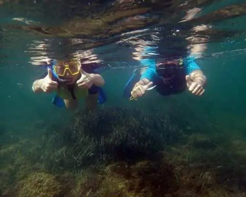 Tabarca Island snorkeling trip from Santa Pola