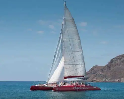 oby-catamaran-cruise-in-caleta-de-fuste-boat-tours-kkday