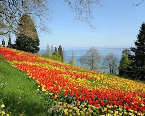 Daily ticket to Mainau Island, a genuine family utopia