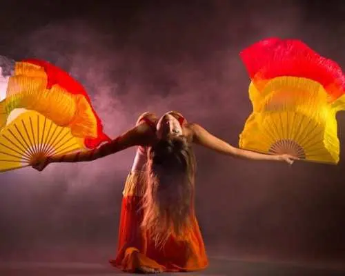 Turkish dance show with dinner