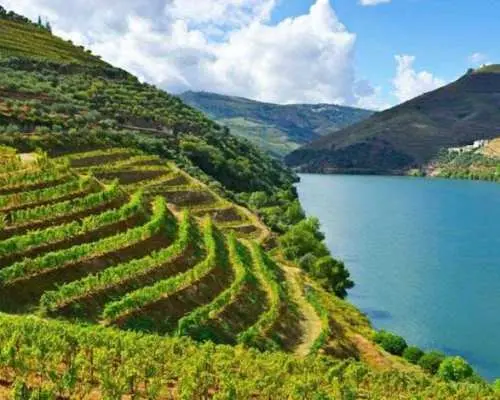 Historical guided tour of the Alto Douro Wine Region with wine tasting