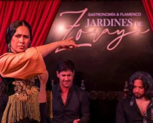 Tickets for flamenco show at the Jardines de Zoraya
