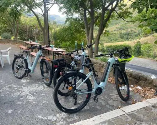 E-bike tour through Madonie Park with olive oil tasting