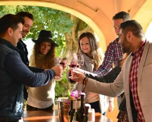 Mendoza winery tour and tasting ticket