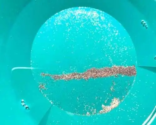 Gold panning adventure in Augsburg
