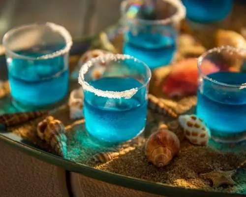 Cocktail Workshop and Sailing Cruise in Barcelona