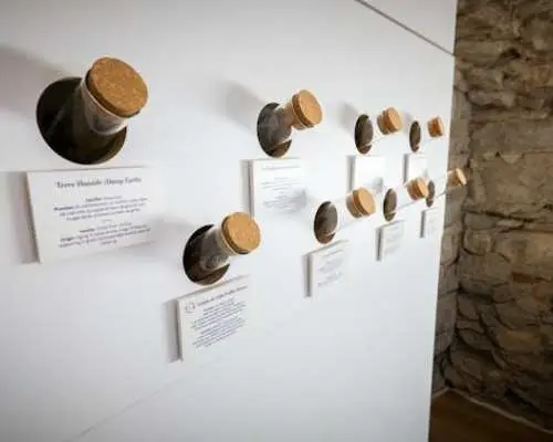 Le Petit Musée du Vin 門票（含里昂品酒）