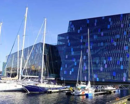 Tour of Reykjavik's instagrammable spots with a local