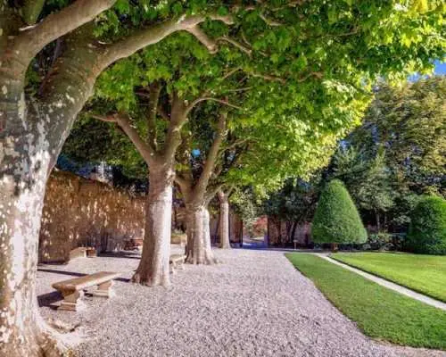 Discover Aix-en-Provence in 90 minutes with a local