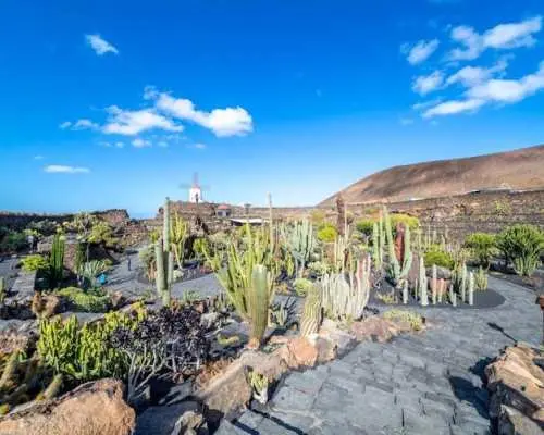Cesar Manrique’s Lanzarote tour with cactus garden and LagOmar