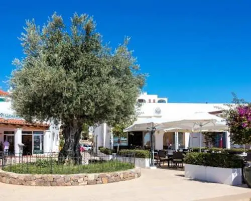 Private Half-day Tour of Ibiza and Dalt Vila