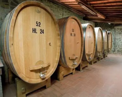 Wine Tasting Small Group Tour with Lunch in Brunello