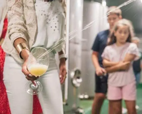 Traditional Basque farm and cider cellar small group tour with lunch