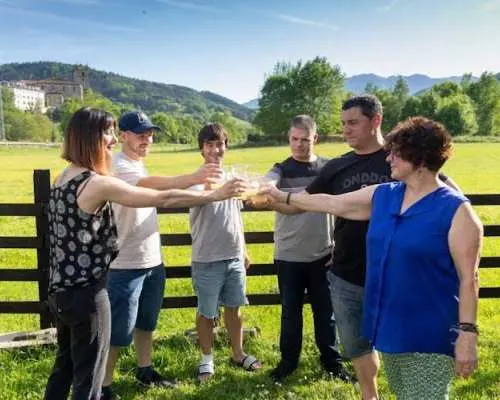 Traditional Basque farm and cider cellar small group tour with lunch