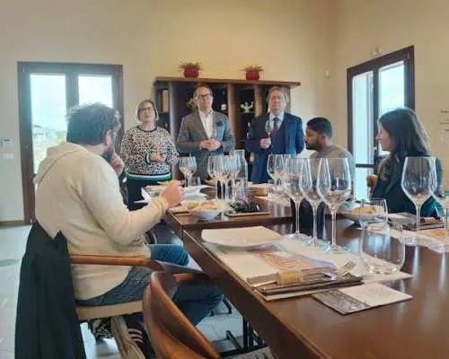 Wine Tasting Experience in the South Slope of Etna