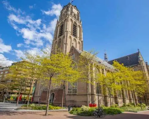 Art and culture of Rotterdam with a local