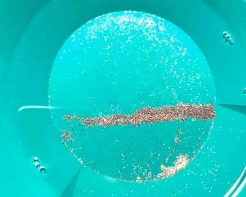 Gold panning adventure in Tübingen