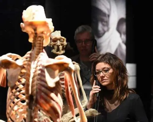 켐니츠에서 열리는 BODY WORLDS 전시회