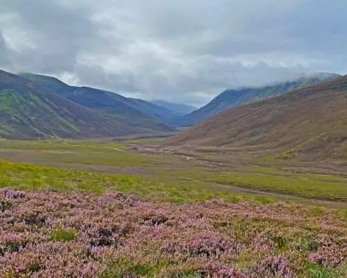 Guided walking tour through Cairngorms from Edinburgh