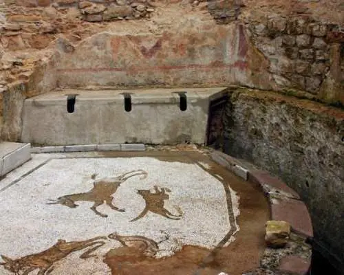 Skip-the-line guided tour of Villa Romana del Casale