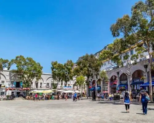 Rock of Gibraltar tour with dolphin-watching cruise
