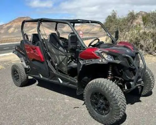 Family Buggy Tour Lanzarote