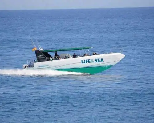 Cabrera full-day excursion from Colònia Sant Jordi