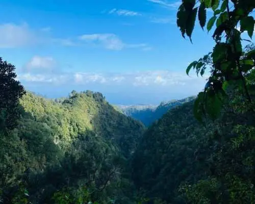Transfer to Levada do Caldeirão Verde with Pick-Up