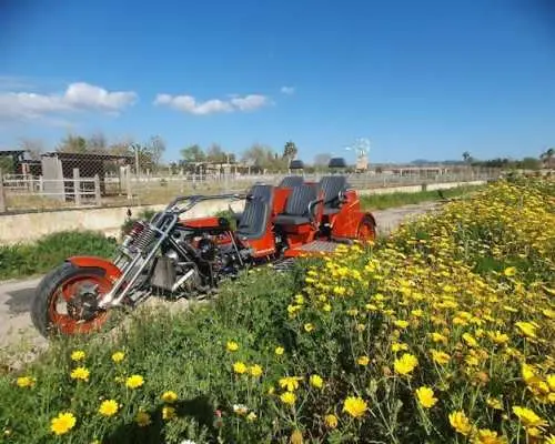 East coast trike tour with Randa Monastery and transfer