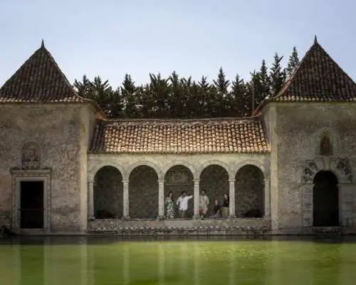 Winery Experience with Tastings and Setúbal Tour from Lisbon