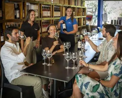 Winery Experience with Tastings and Setúbal Tour from Lisbon