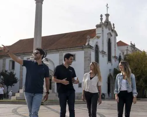 Winery Experience with Tastings and Setúbal Tour from Lisbon