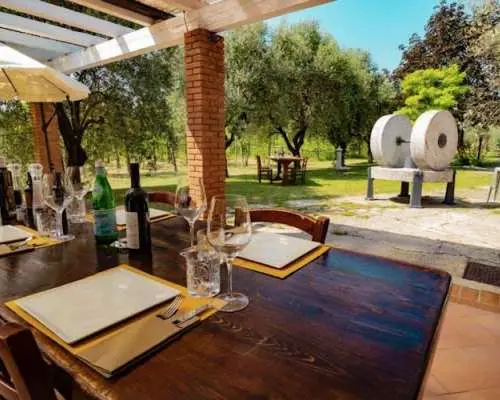 Light lunch with olive oil tasting at an oil mill by Lake Garda