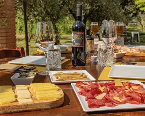 Light lunch with olive oil tasting at an oil mill by Lake Garda