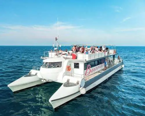 Valencia's coastline catamaran tour with mussels and white wine