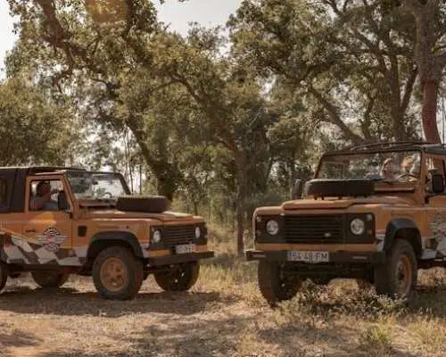 Half day safari private tour in Algarve