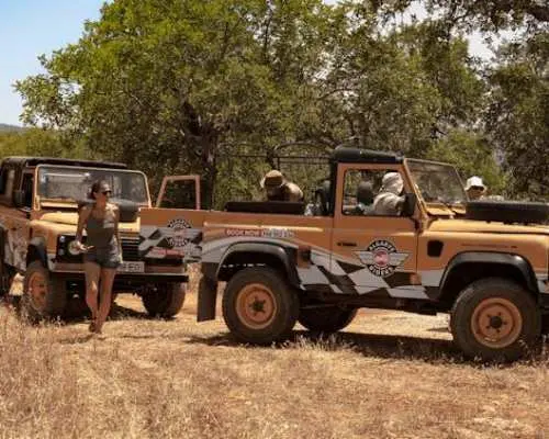 Half day safari private tour in Algarve