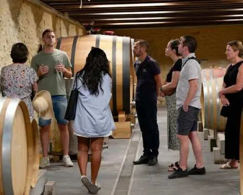 Afternoon Wine Tour of Châteauneuf-du-Pape from Avignon