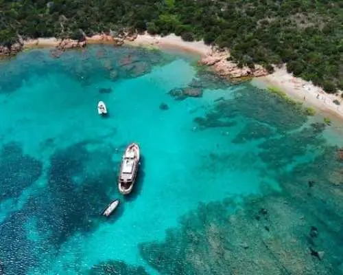 Full-day guided tour of La Maddalena Archipelago from Palau