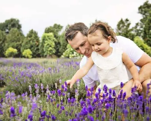 Family-friendly private walking tour in Sigtuna